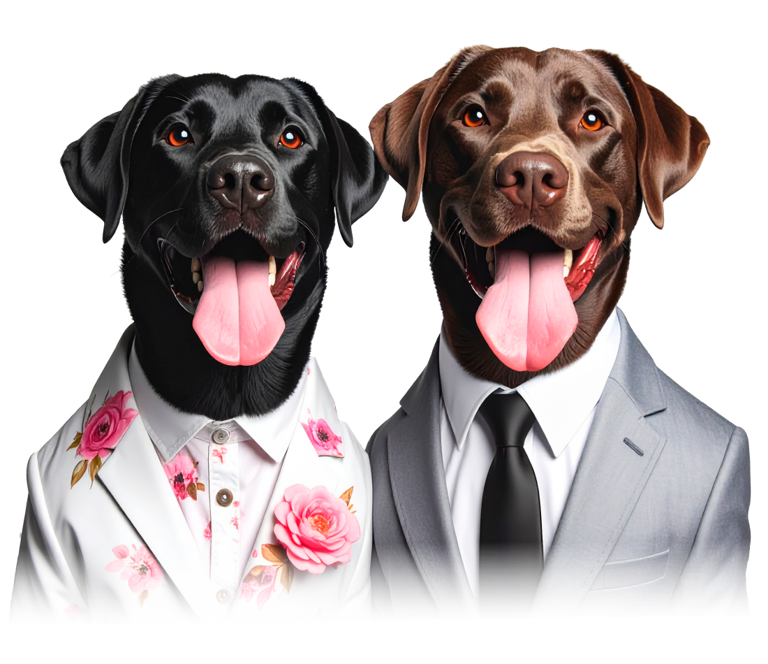 koralandthomaslider_home